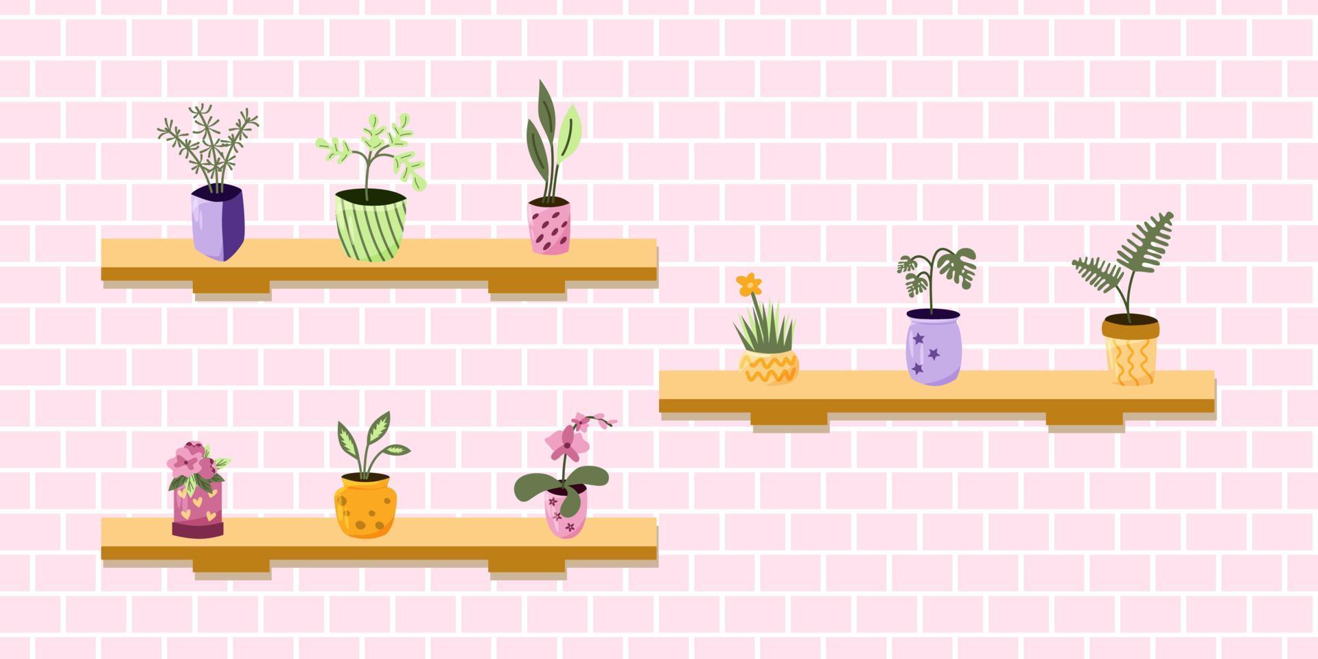 Flowers in colorful pots on the shelves. Vector illustration.