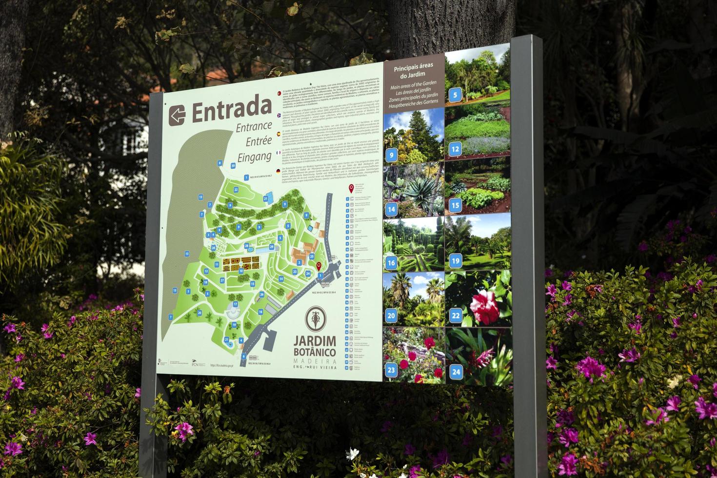 Funchal, Portugal, February 13, 2020 - Detail of Madeira Botanical Garden in Fuchal, Portugal. Garden opened to the public in 1960 and have more than 345.000 visitors per year. photo