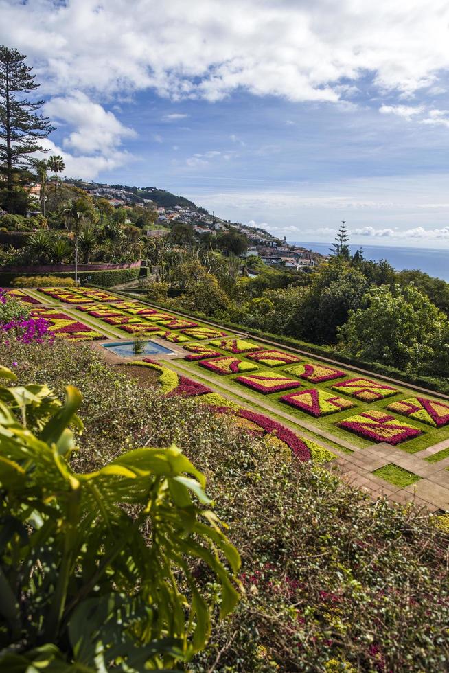 funchal, portugal, 13 de febrero de 2020 - detalle del jardín botánico de madeira en fuchal, portugal. jardín abierto al público en 1960 y tiene más de 345.000 visitantes al año. foto