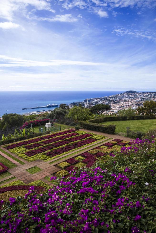 Funchal, Portugal, February 13, 2020 - Detail of Madeira Botanical Garden in Fuchal, Portugal. Garden opened to the public in 1960 and have more than 345.000 visitors per year. photo