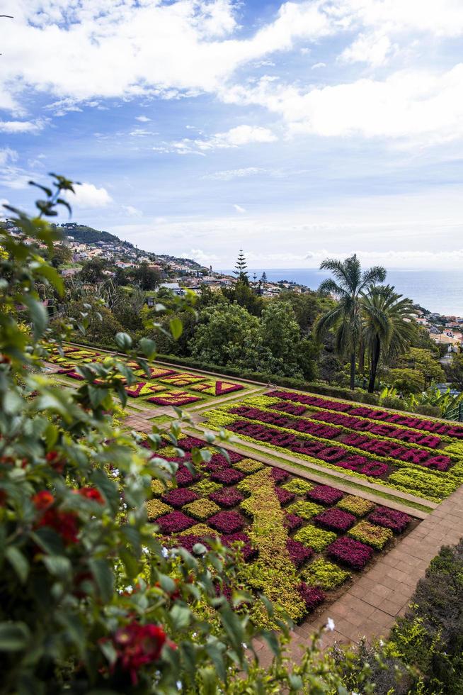 Funchal, Portugal, February 13, 2020 - Detail of Madeira Botanical Garden in Fuchal, Portugal. Garden opened to the public in 1960 and have more than 345.000 visitors per year. photo