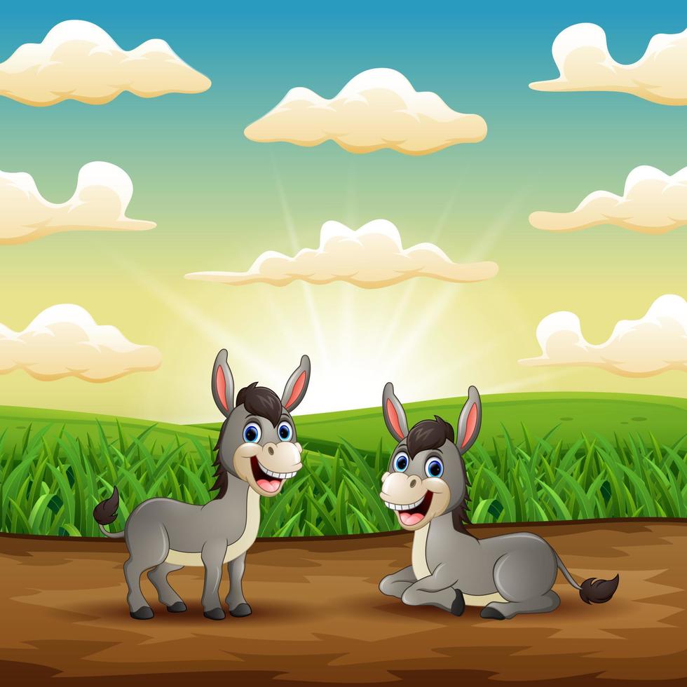 Two Funny donkey smiling in the field vector