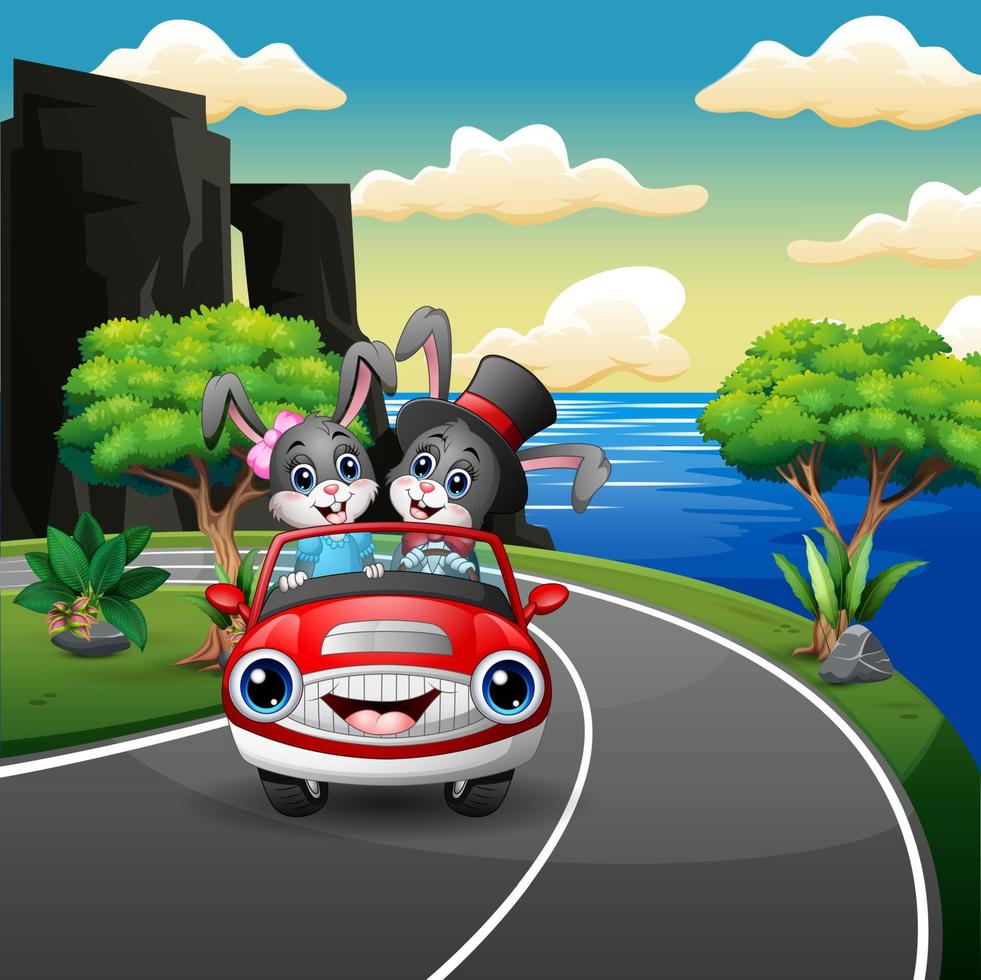 Couples rabbit cartoon driving a car in the seaside road vector