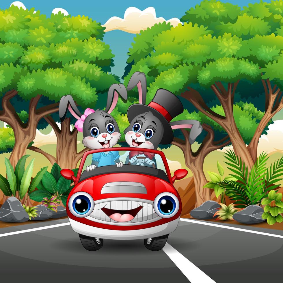 Couples rabbit cartoon driving a car through the forest vector