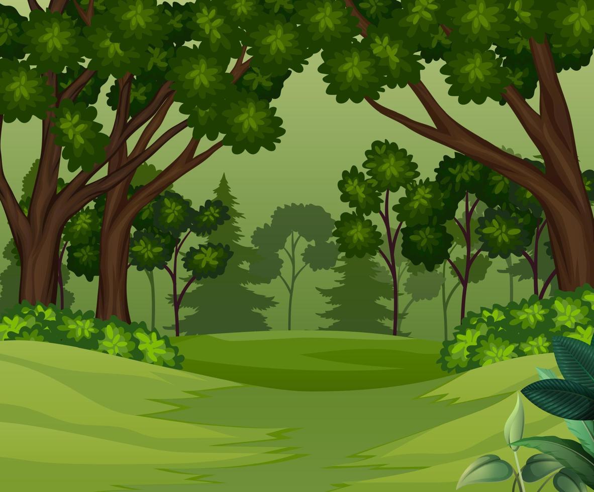 Deep forest scene with trees background vector