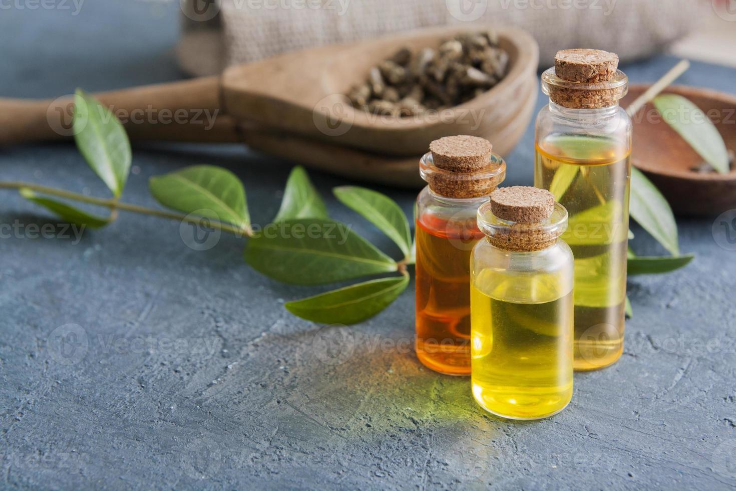 Herb tinctures in glass vintage bottles on dark concrete table. Traditional medicine and herbal treatment concept. photo