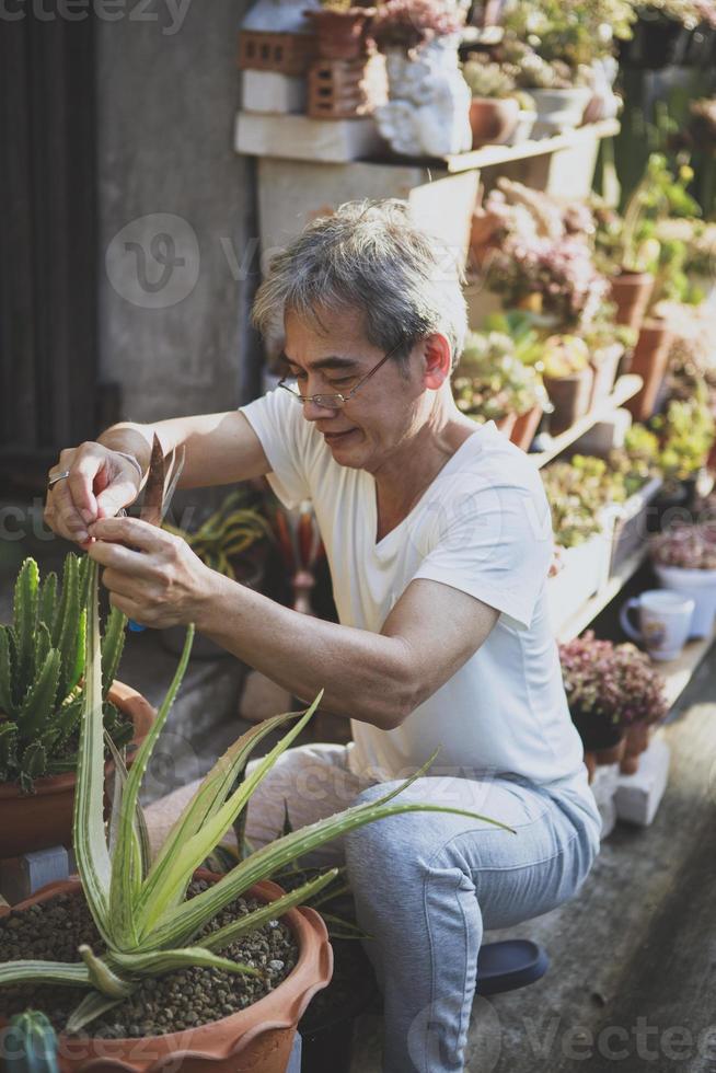 anciano asiático cuidando plantas suculentas en el jardín de su casa foto