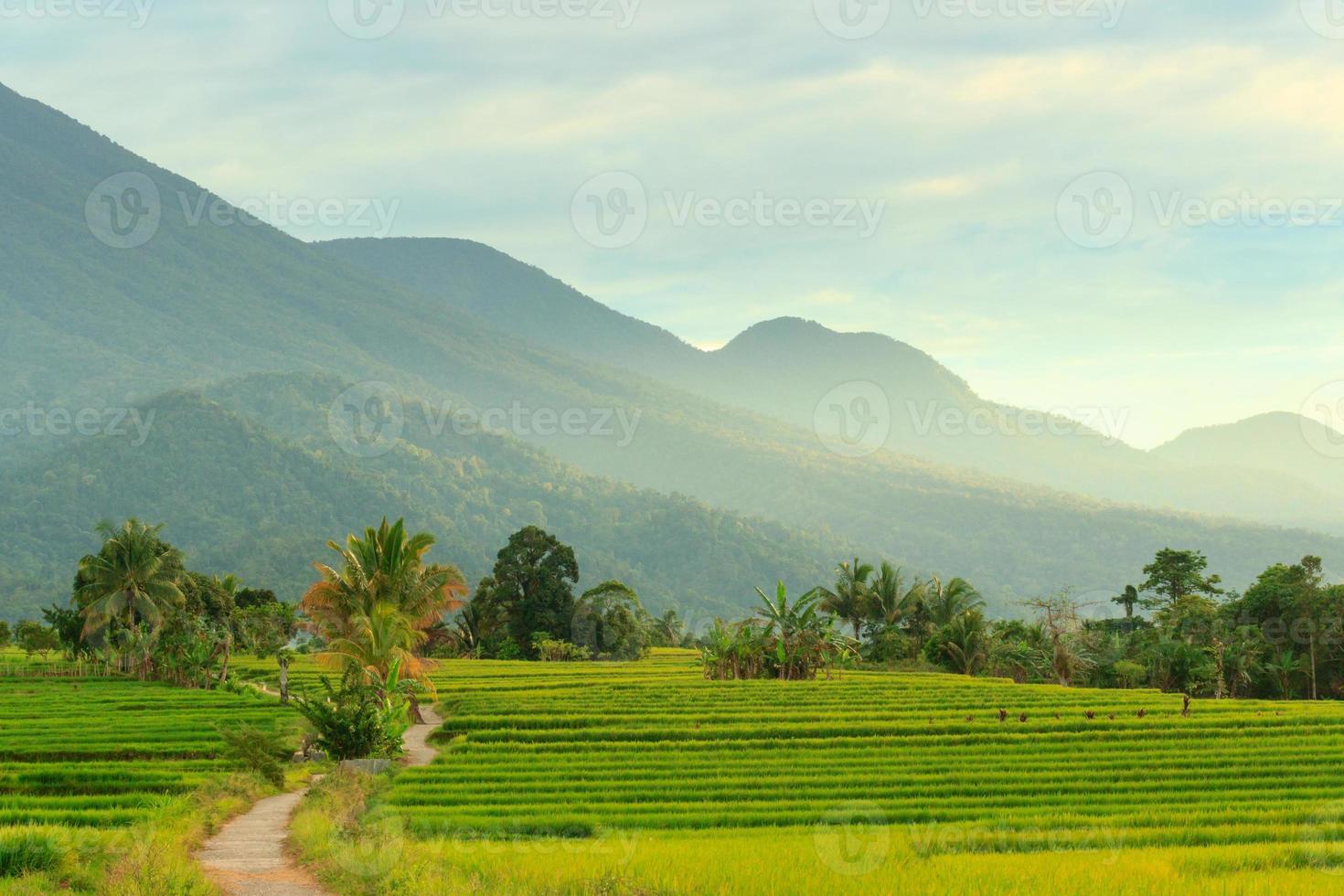 beautiful village scenery in the beautiful morning photo