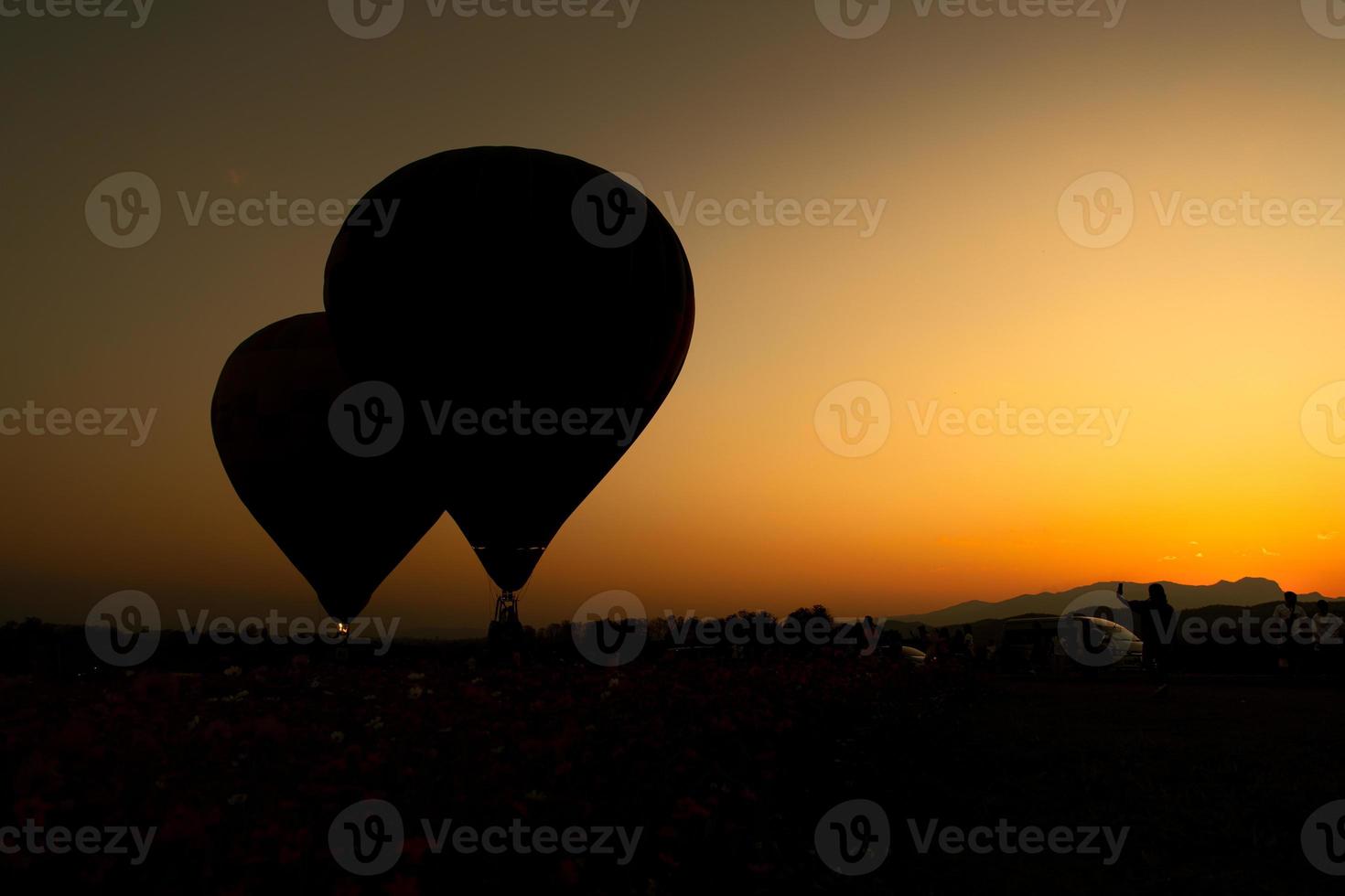 festival internacional de globos en chiang rai, tailandia hay globos de varios colores. vienen a competir en belleza. foto