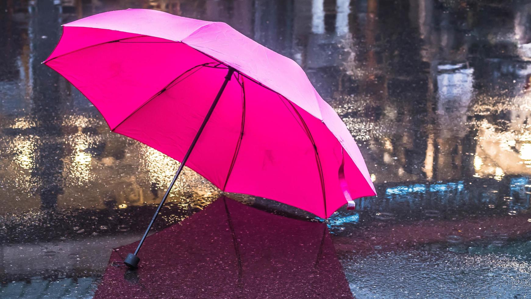 paraguas rosa después de la lluvia. paraguas rosa en mojado foto