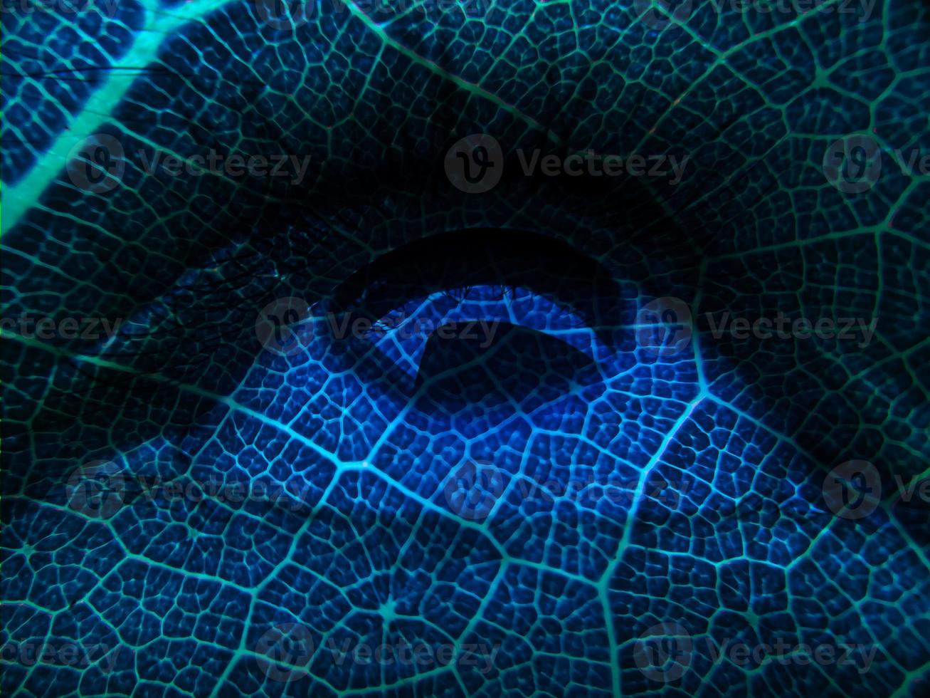 Leaf vein on human's eye photo