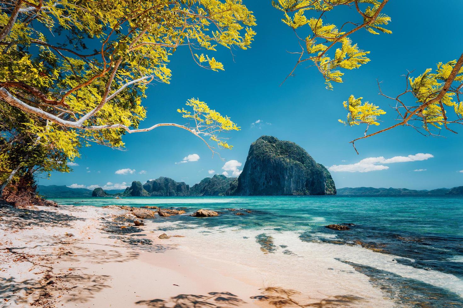 Beautiful landscape scenery of El Nido coastline. Unique amazing Pinagbuyutan island in background framed by tree branches. Palawan, Philippines photo