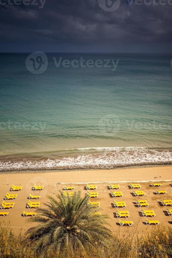 Beach coastline ocean photo