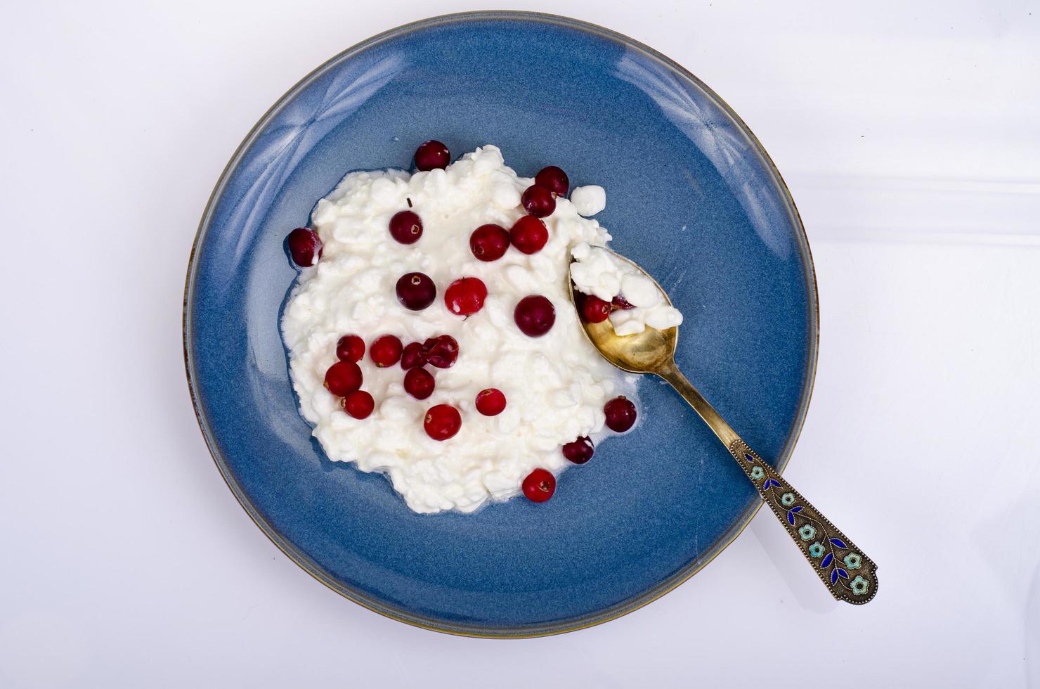 Dairy products. Fresh white homemade cottage cheese on blue plate. Studio Photo
