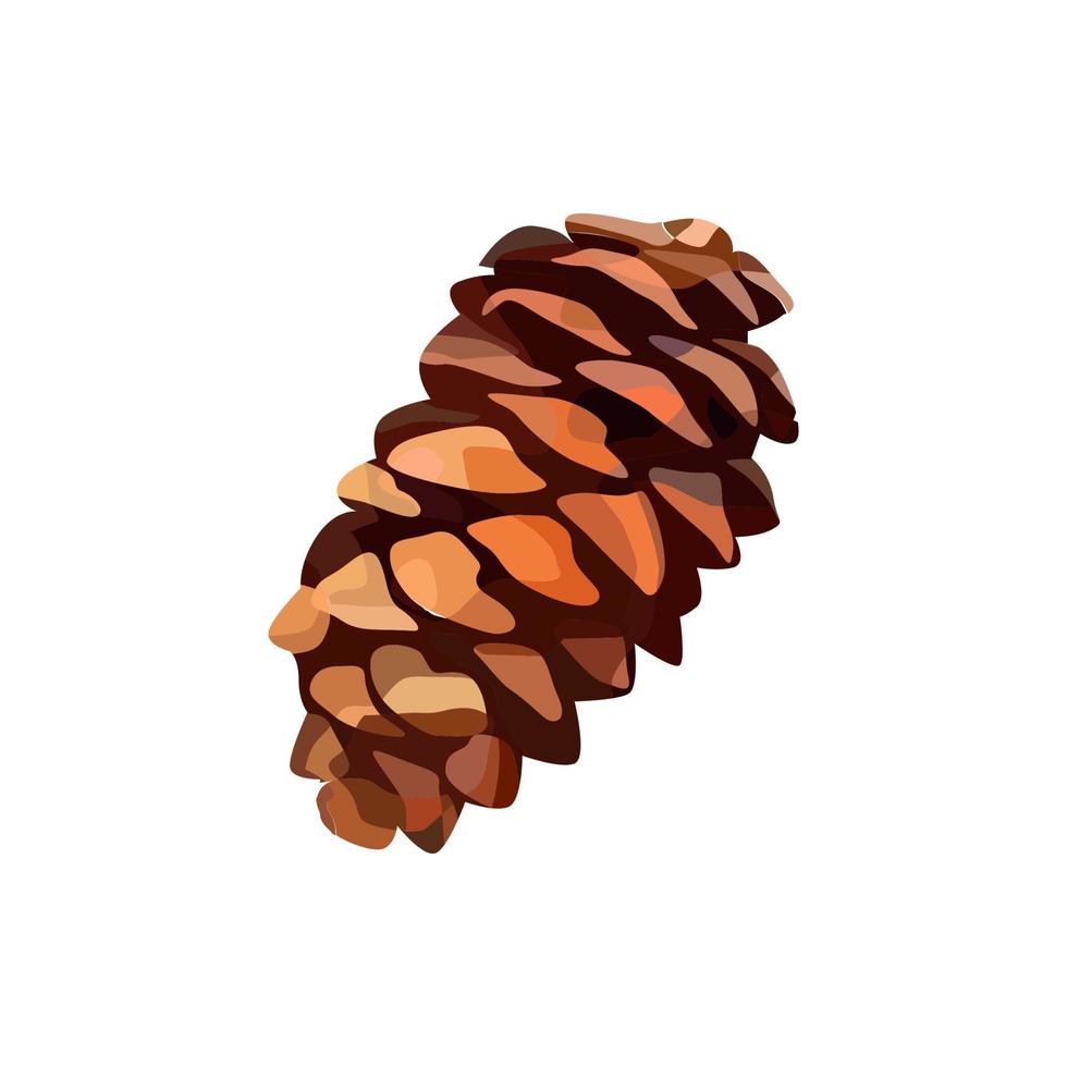 Vector fir cone