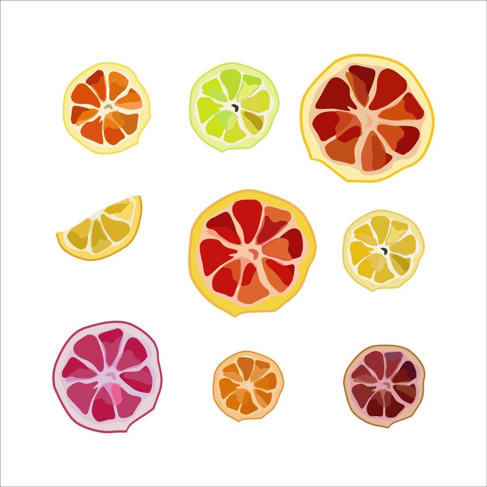 Vector set of cut lemons, oranges, grapefruits.