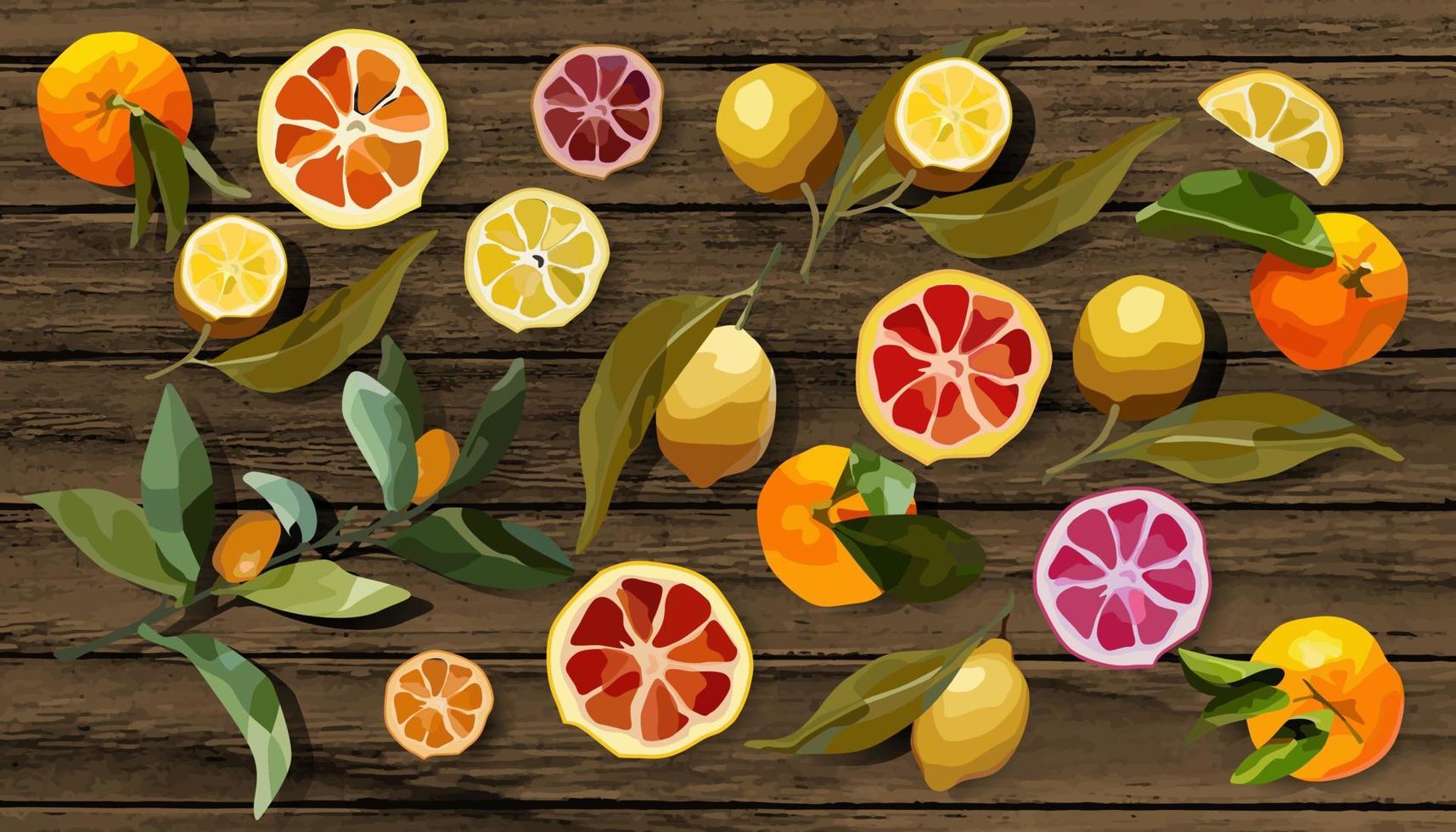 Vector set of citrus fruits whole and sliced on wooden background