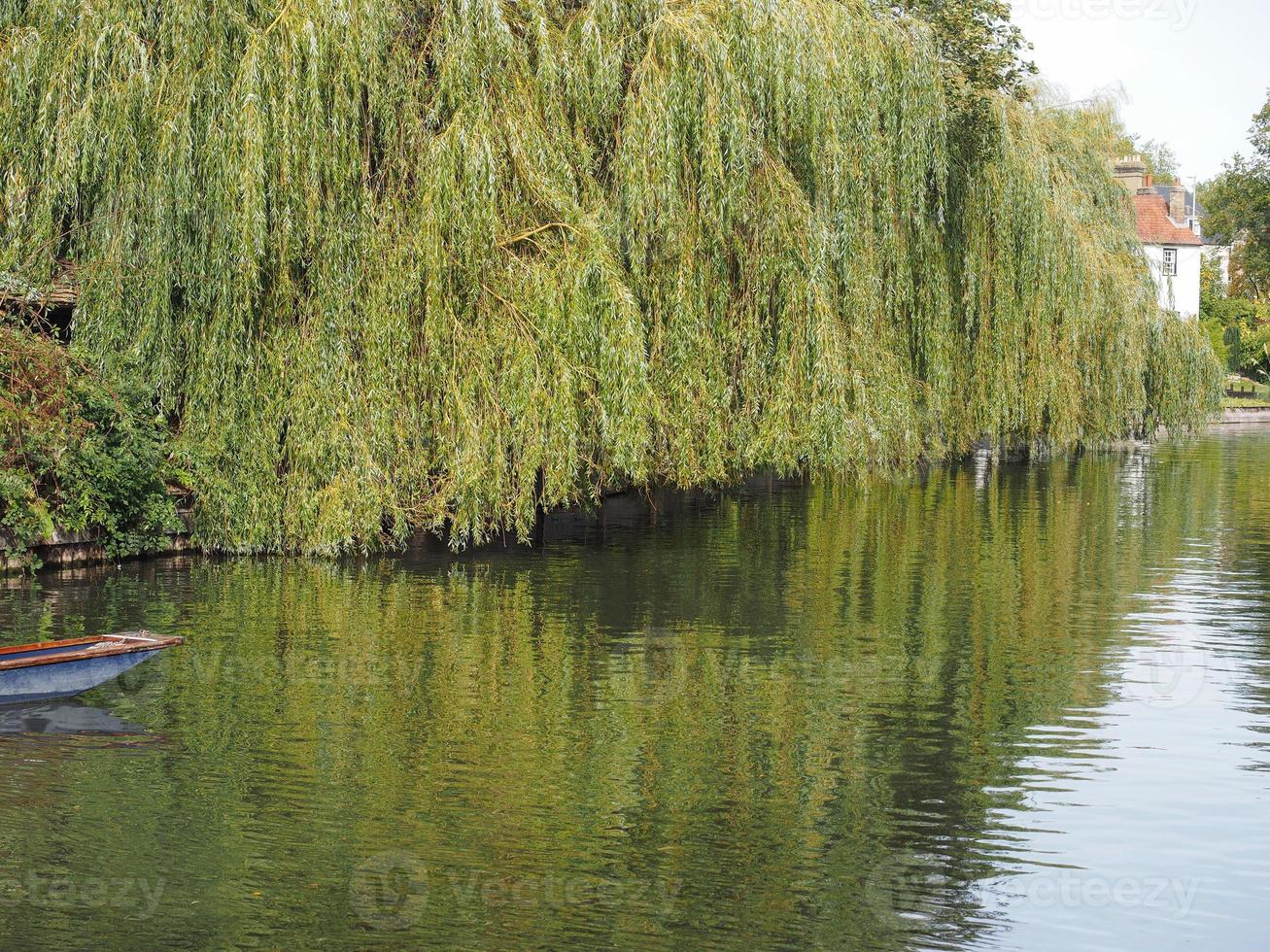 River Cam in Cambridge photo