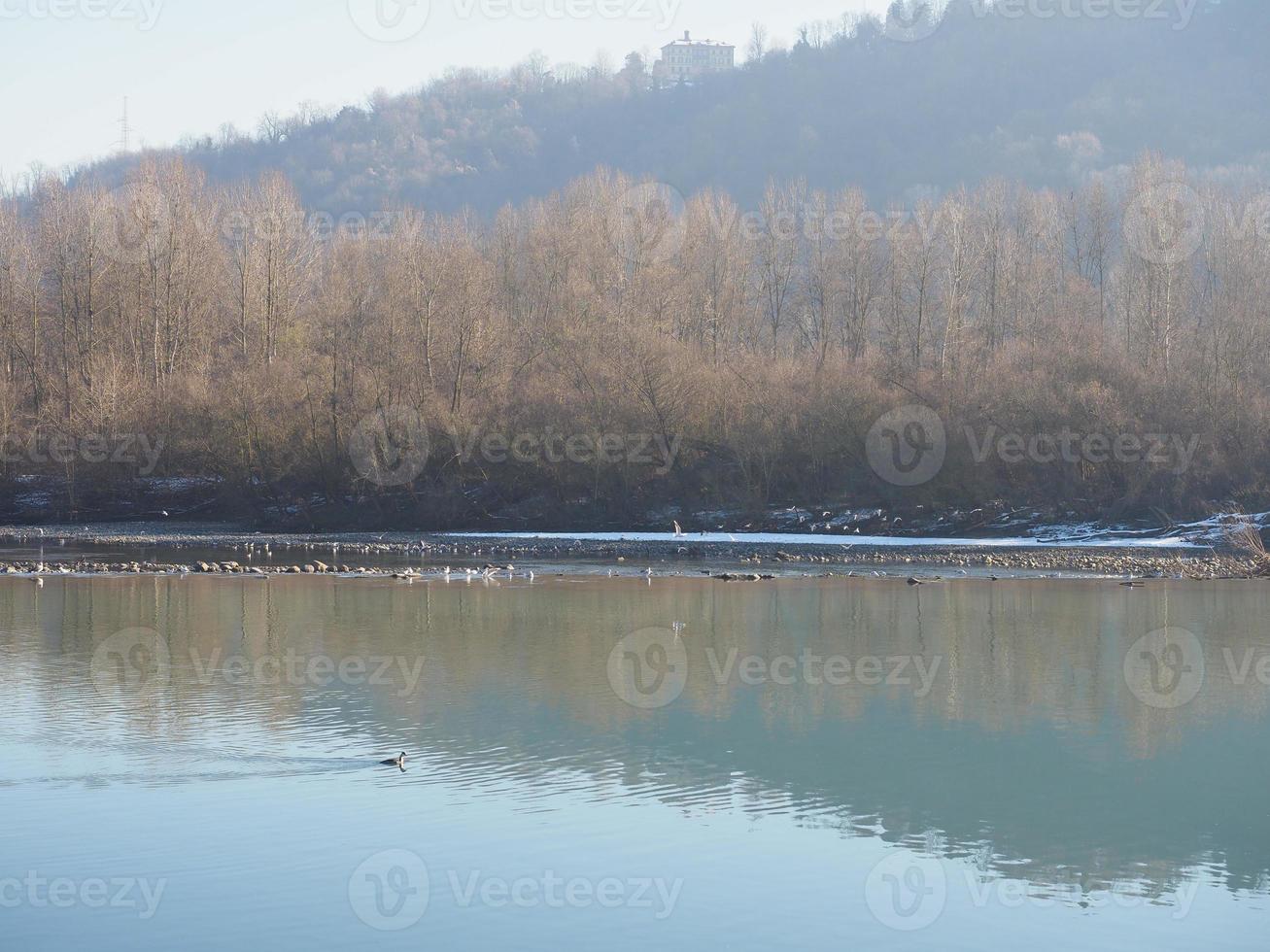 River Po in Chivasso photo