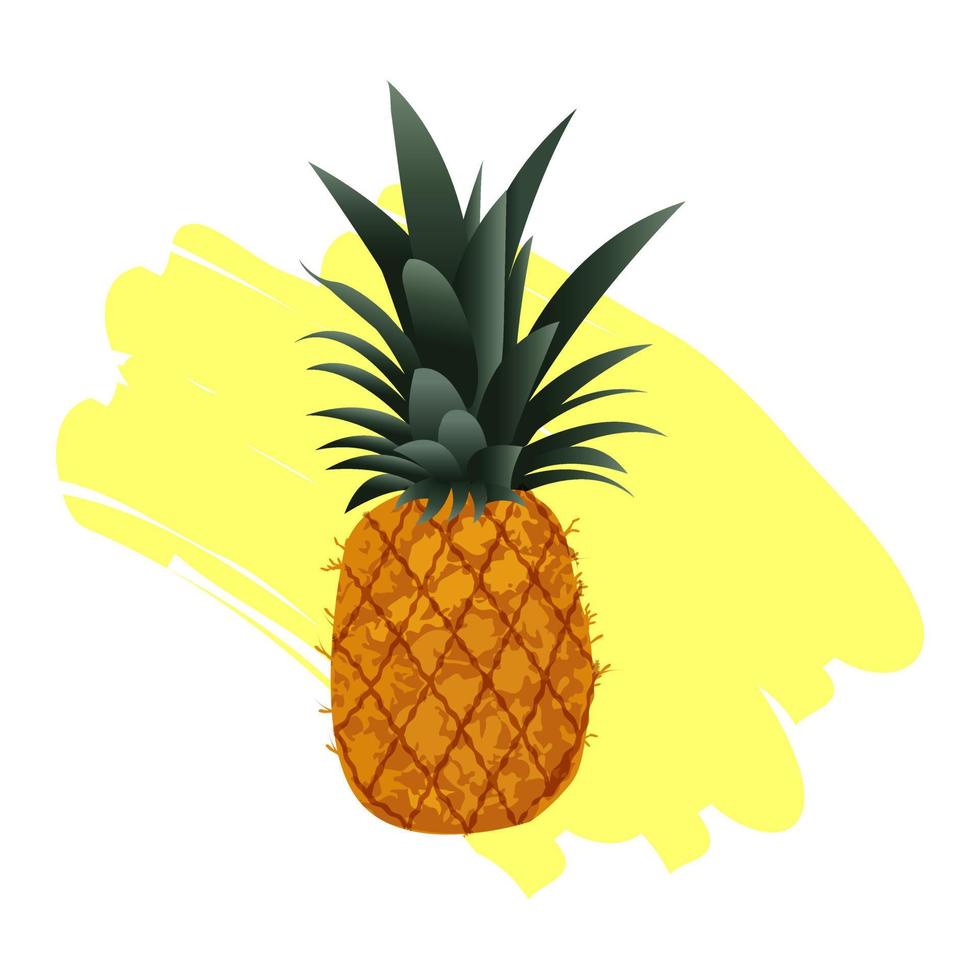 Pineapple fruit isolated on white background. Vector illustration for healthy lifestyle.