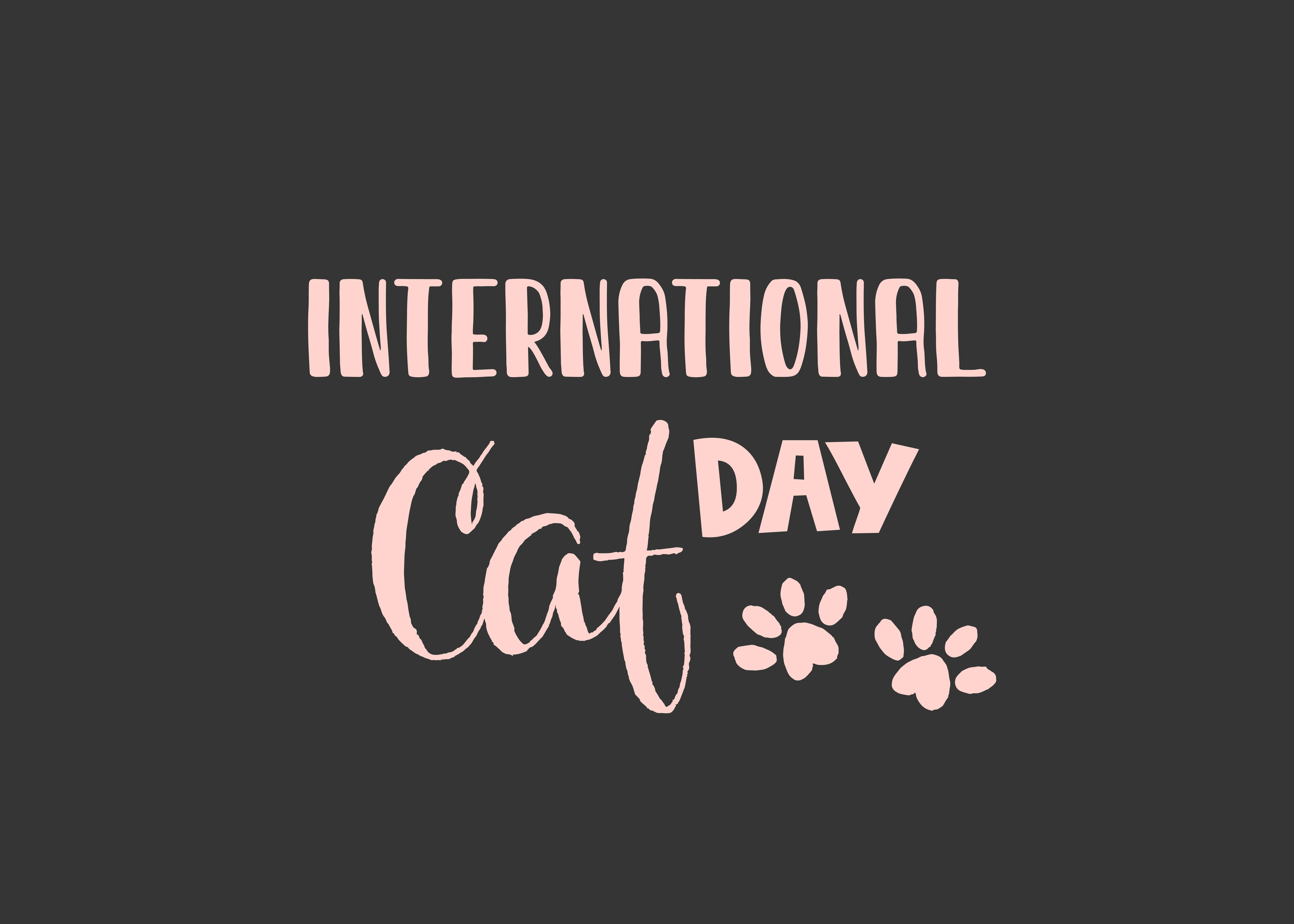 World Cat Day. International holiday. Vector illustration. Lettering on