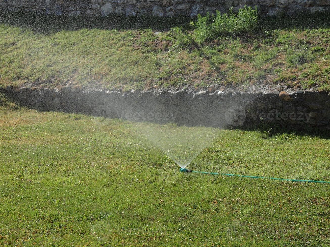 Irrigation sprinkler in a meadow photo