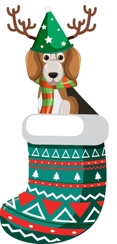 beagle de dibujos animados en calcetín de navidad vector