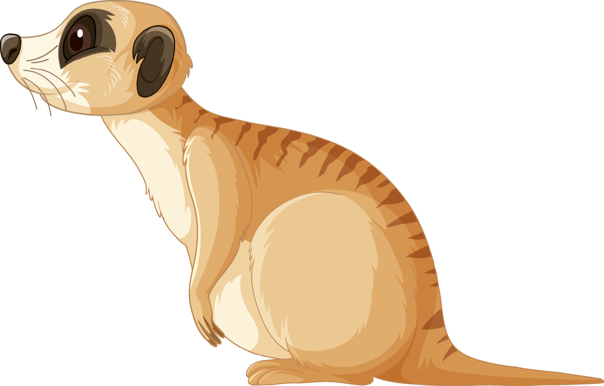 lado del animal suricata en estilo de dibujos animados 5229986 Vector en Vecteezy lado del animal suricata en estilo de dibujos animados 5229986 Vector en Vecteezy