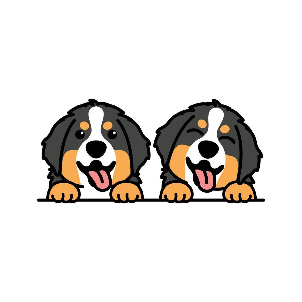 Cute bernese mountain puppy cartoon, vector illustration