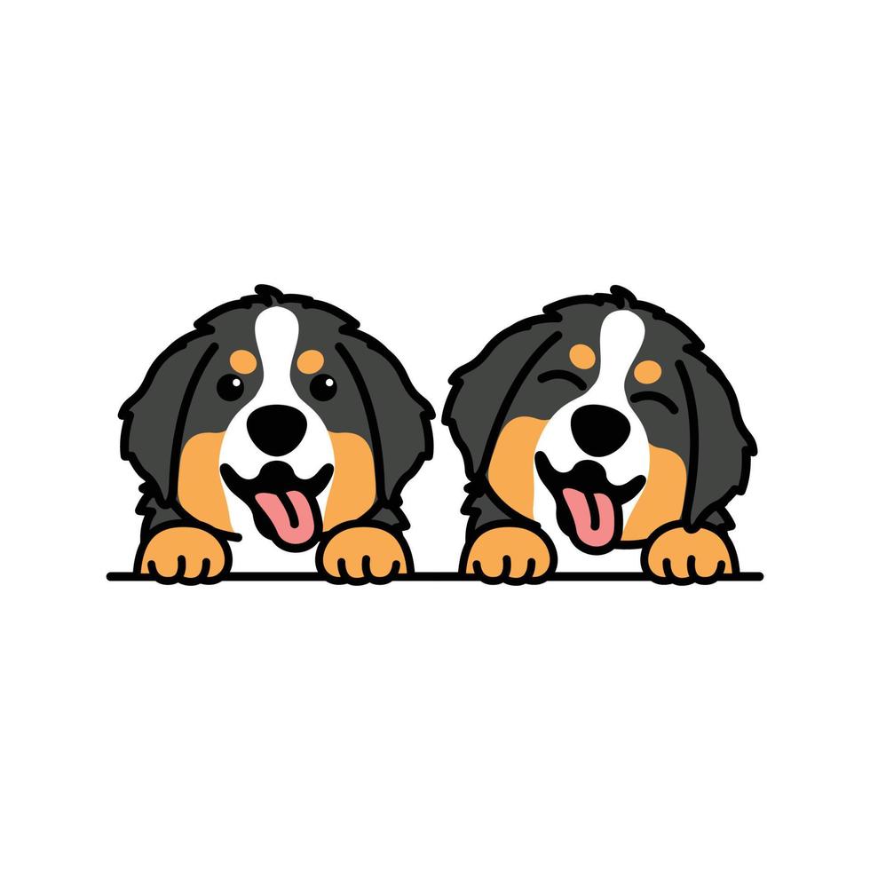 Cute bernese mountain puppy cartoon, vector illustration