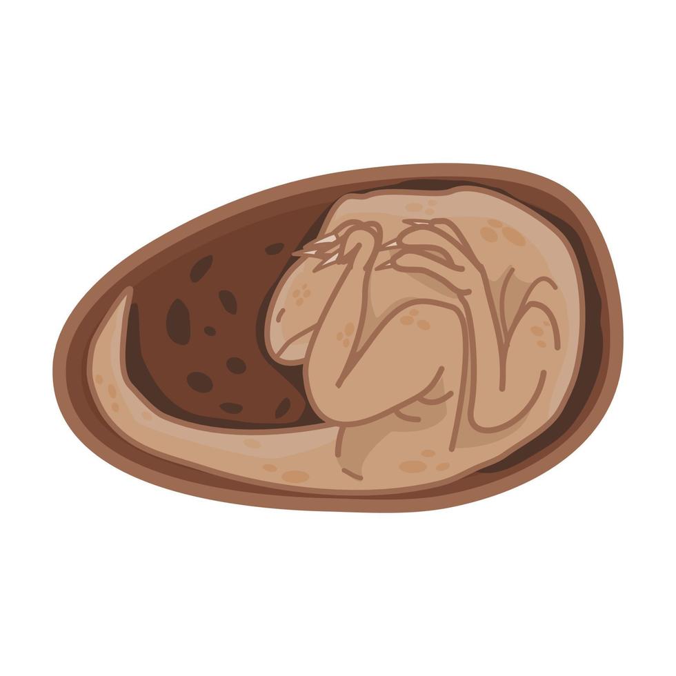illustration of Dinosaurus Egg on Tucking position vector
