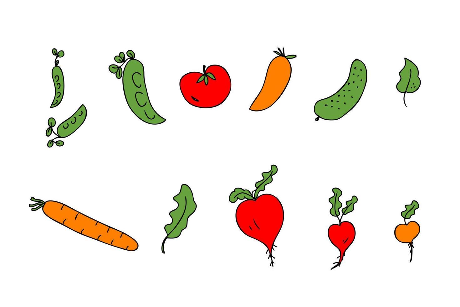 colección de iconos de verduras de cosecha dibujada a mano. vector