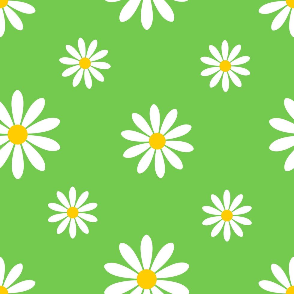 seamless pattern with daisies. seamless pattern vector