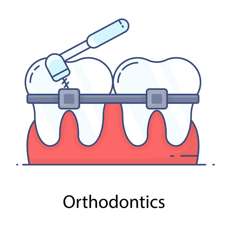 Oral orthodontic flat outline vector, teeth braces vector