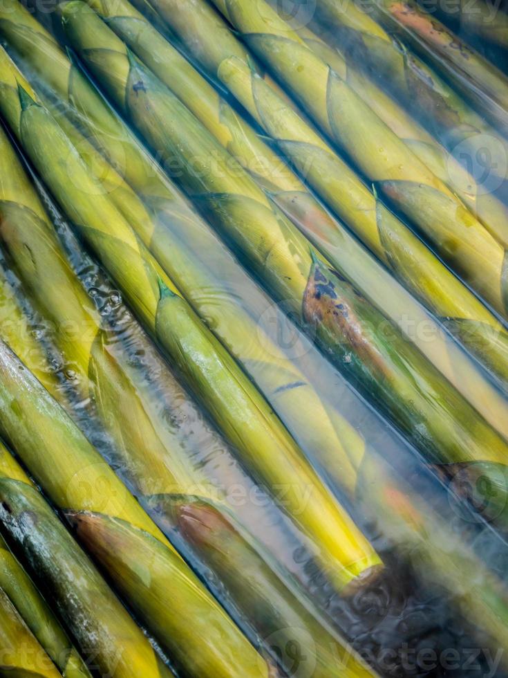 brotes de bambú hervir en agua caliente foto