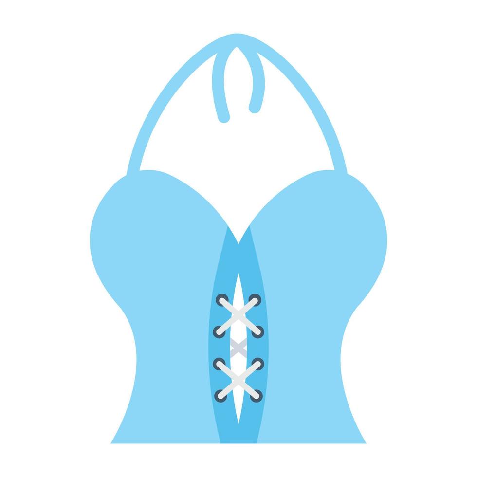 Trendy Corset Concepts vector