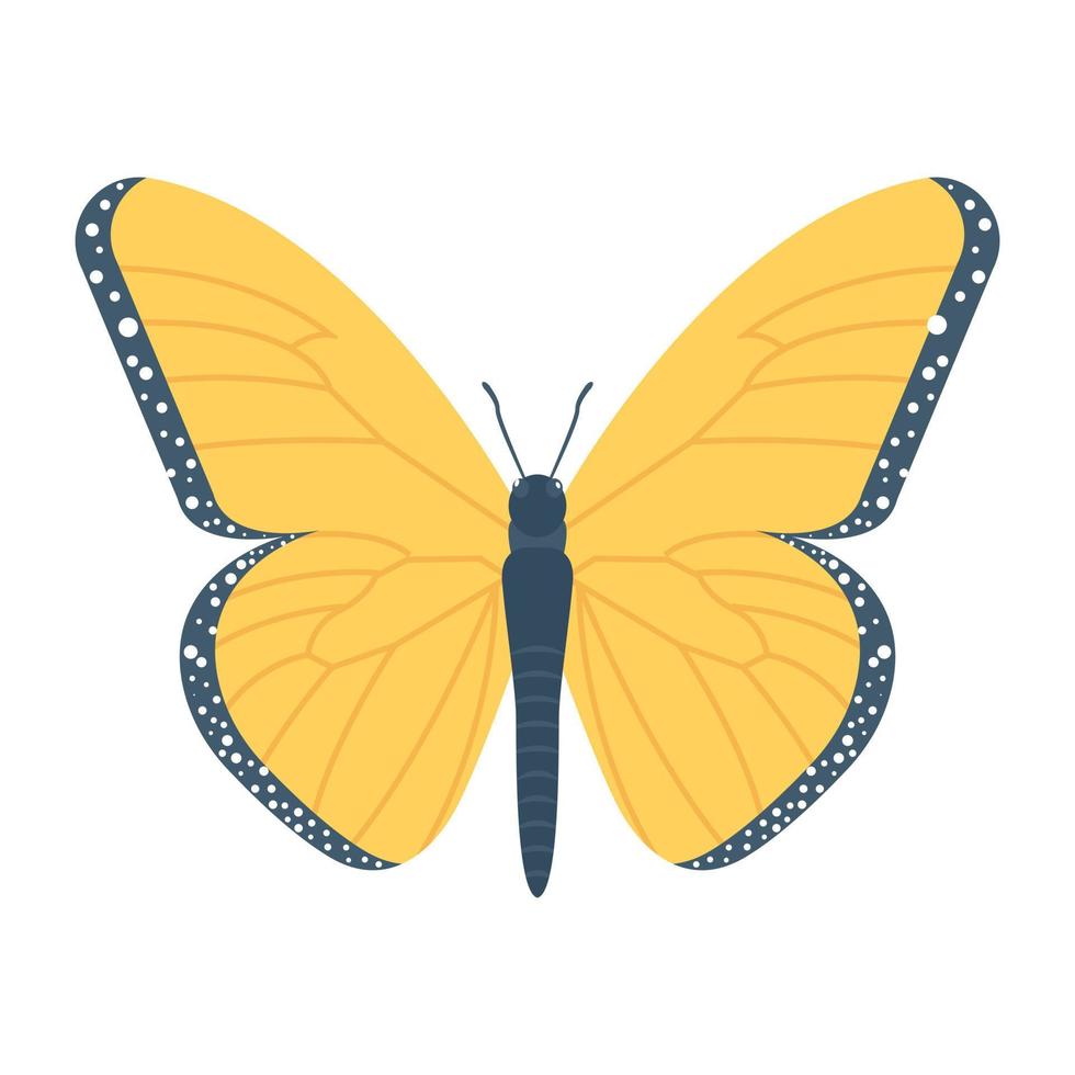 Trendy Butterfly Concepts vector