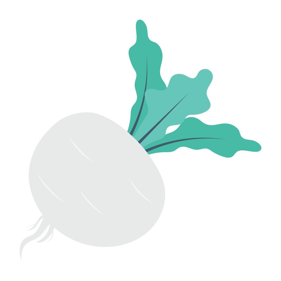 Trendy Turnip Concepts vector