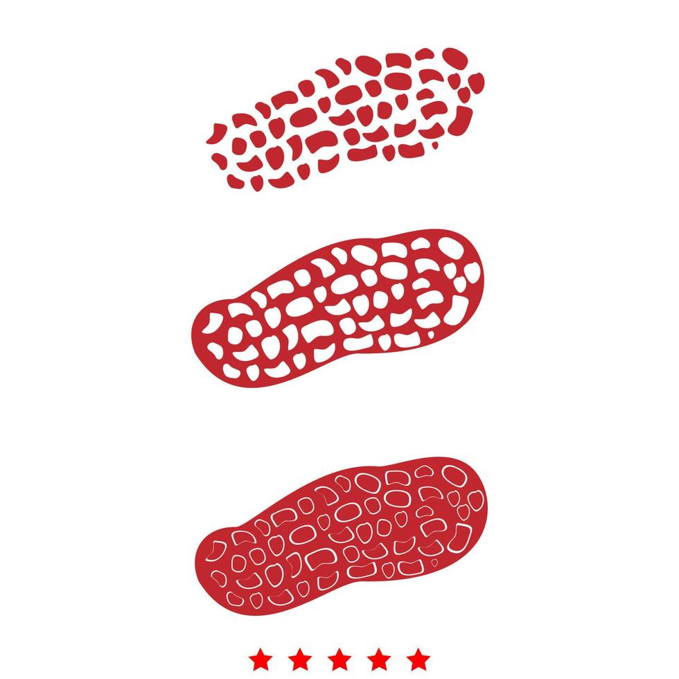 Peanut it is icon . vector