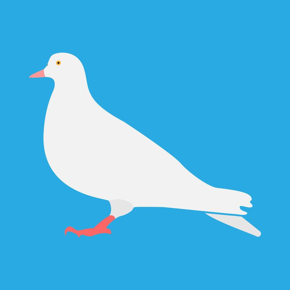 Dove icon . Different color . vector