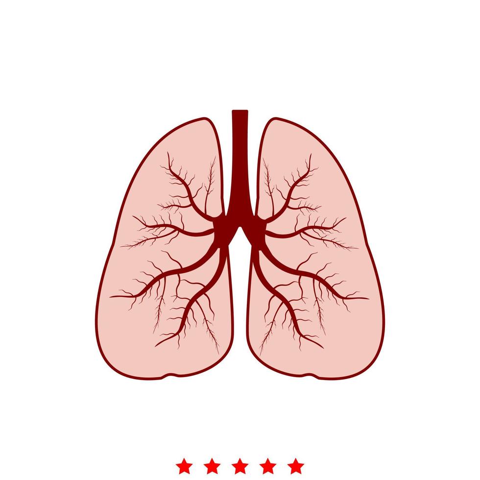 Lungs it is icon . vector