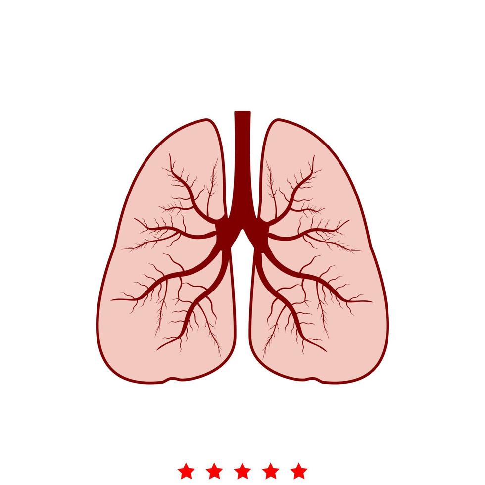 pulmones es icono. vector