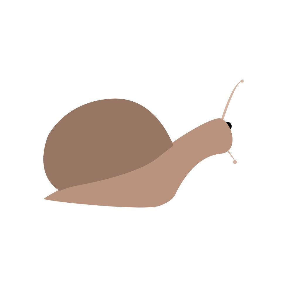 icono de silueta de caracol. color diferente . vector