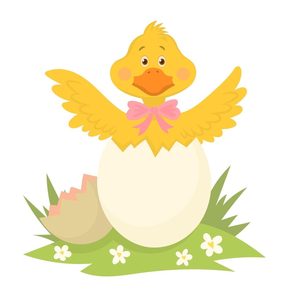 Cute Duckling Baby Hatching from Egg, happy mothers day vector