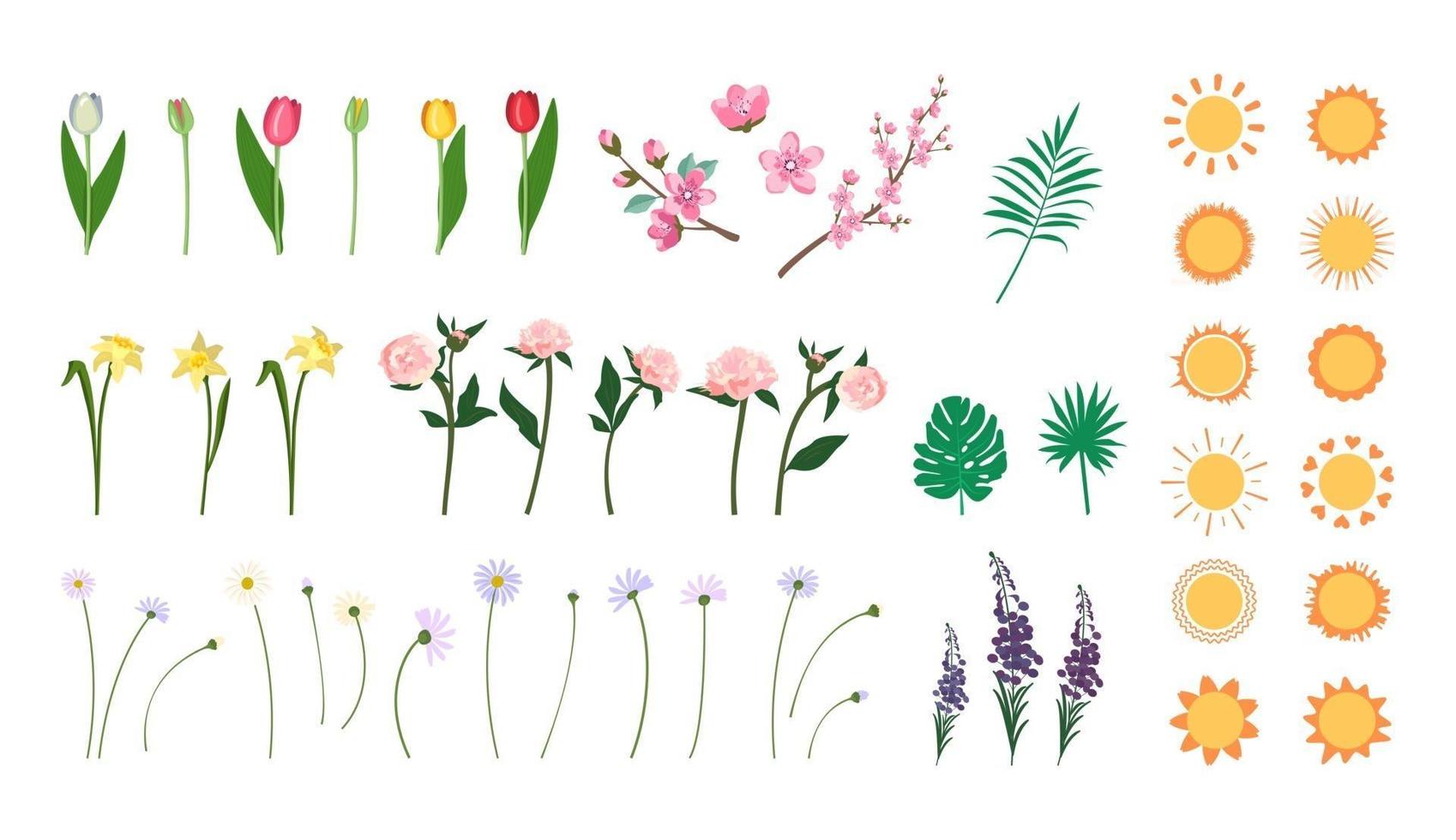 Set of flower, leaves and sun icon. Delicate daisies, peonies, daffodils, cherry blossom branch, tulips and wildflowers. Spring decoration and summer element of nature and weather. Vector illustration