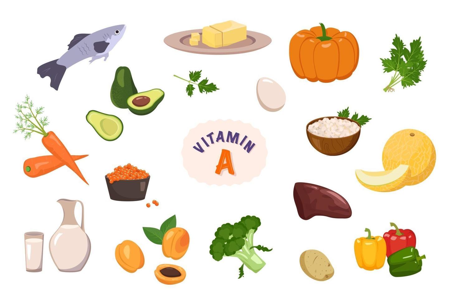 Source of vitamin A. Collection of vegetables, fruits and herbs. Diet food. Healthy lifestyle. The composition of the products. Vector illustration