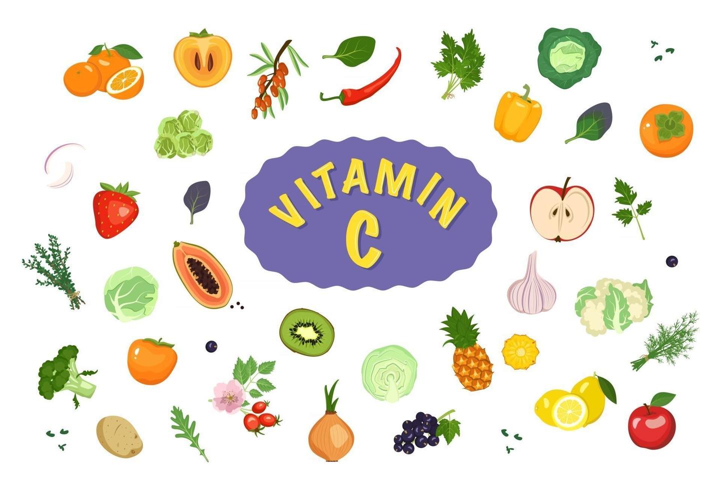 fuente de vitamina c. conjunto de iconos de verduras, frutas y hierbas. conjunto de artículos de comida vegetariana. estilo de vida saludable. ilustración vectorial vector