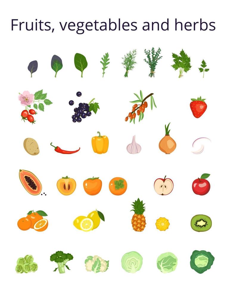 conjunto de iconos verduras, frutas, bayas y hierbas para ensalada, comida. ingredientes para platos vegetarianos. estilo de vida saludable. fuente de vitamina c. ilustración vectorial vector