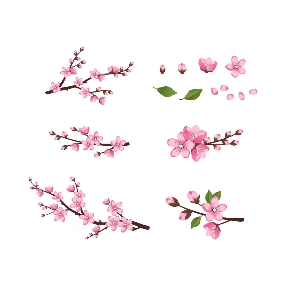 Cute Sakura flowers icon set. The cherry branches have bloomed. Spring pink blooming composition with buds and leaves. Festive decorations for wedding, holiday, postcard, poster. Vector illustration