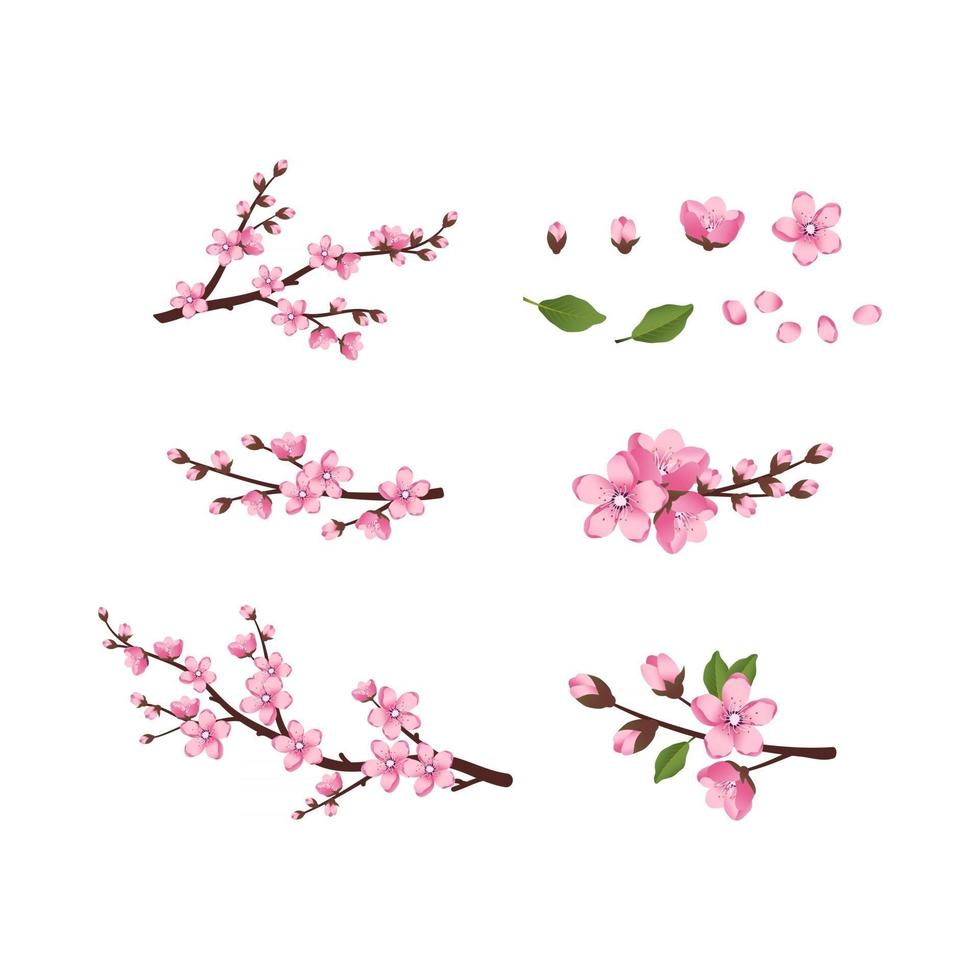 Cute Sakura flowers icon set. The cherry branches have bloomed. Spring pink blooming composition with buds and leaves. Festive decorations for wedding, holiday, postcard, poster. Vector illustration